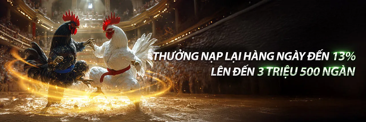 Các chương trình khuyến mãi hấp dẫn tại Z88 Nhà Cái